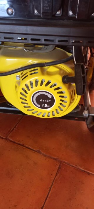 Generador Eléctrico Genyx GPRO3000R 3000W