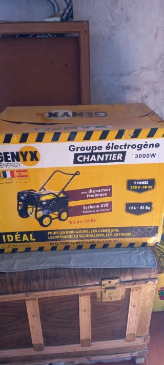 Generador Eléctrico Genyx GPRO3000R 3000W