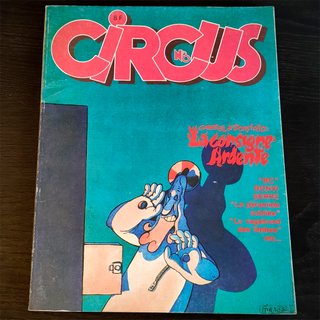 Lote de cómics en francés