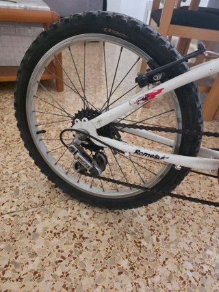 Bicicleta Infantil 20 Pulgadas