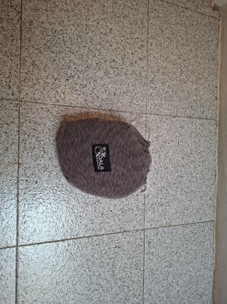 Mochila Portabebés BabyBjörn + Koala Babycare