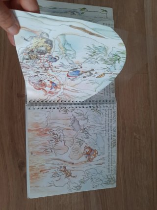 Libro infantil Bruno el canguro