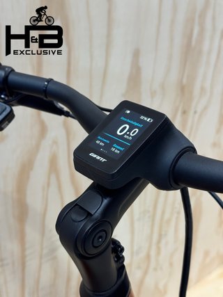 Giant DailyTour E+ 2 LDS Shimano Deore 2023