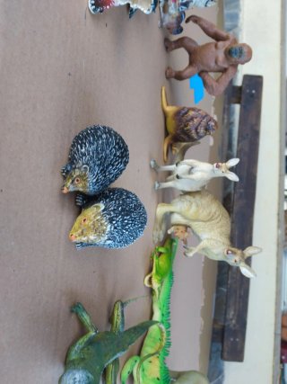 Pack 12 Juguetes Animales de la Selva