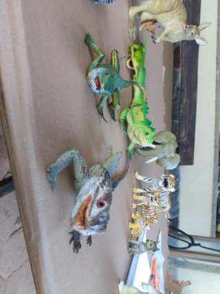 Pack 12 Juguetes Animales de la Selva