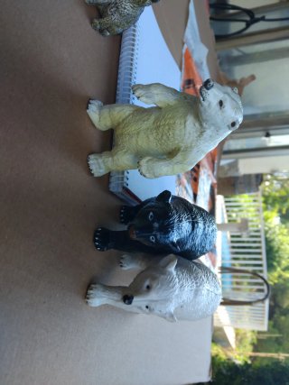 Pack 12 Juguetes Animales de la Selva