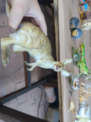 Pack 12 Juguetes Animales de la Selva