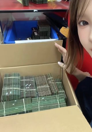 Lote de Módulos RAM RDIMM DDR4 DDR5 16Gb 32Gb 64Gb