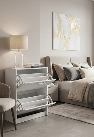 Varios muebles Zapatero
