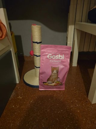 Pack de accesorios para gatitos