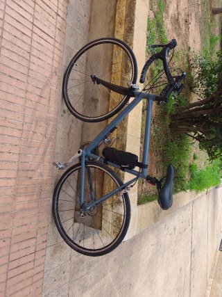 Bicicleta de Carretera Gris