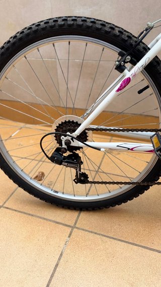 Bicicleta 26 21 marchas