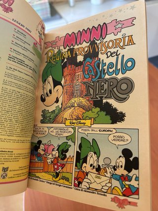 Collezione fumetti Minni and Company