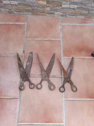 Tijeras de esquilar antiguas