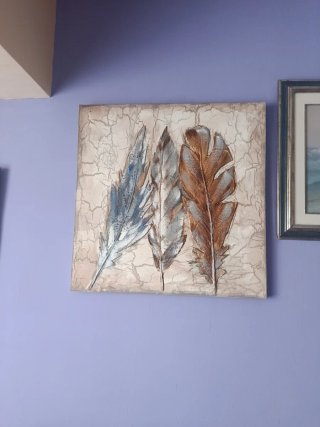 Cuadro Decorativo con Plumas