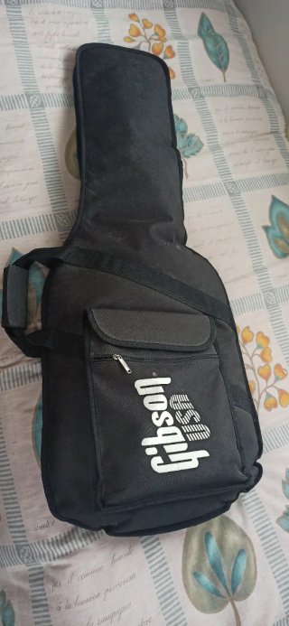 Guitarra Eléctrica Epiphone SG 310