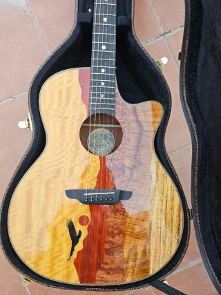 Chitarra acustica Luna Vista Eagle