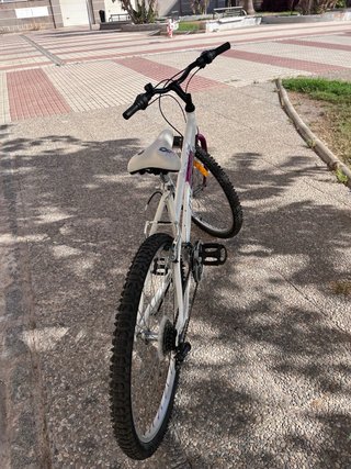 Bicicleta de Montaña Mercier Walker 26