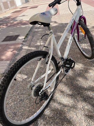 Bicicleta de Montaña Mercier Walker 26