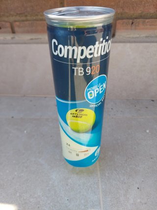 Pelotas Tenis Artengo TB920 x4