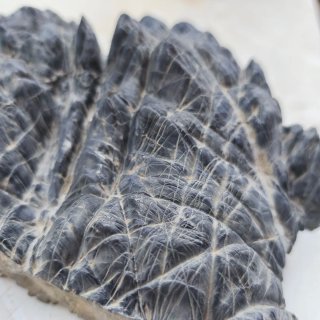 Suiseki de piedra natural