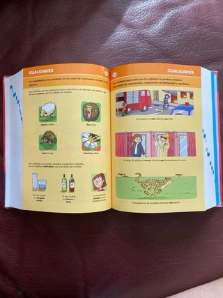 Diccionario Primaria lengua española