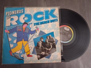 Lote 3 recopilatorios Beach boys, Shadows, Reo...