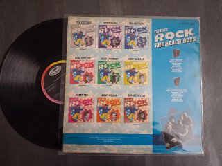 Lote 3 recopilatorios Beach boys, Shadows, Reo...