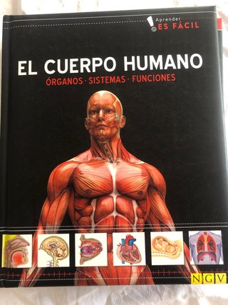 La tierra, dinosaurios, el universo, cuerpo humano