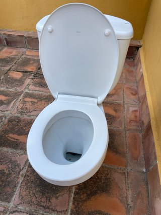 Inodoro blanco