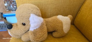 Peluche cane marrone e bianco