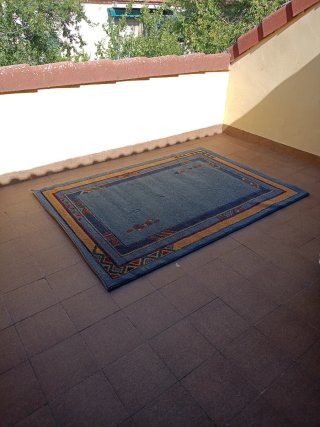 Alfombra Rectangular con Estampado