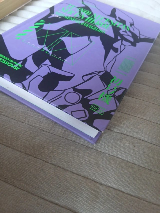 Tú (no) necesitas ser un héroe Neon Genesis Eva...