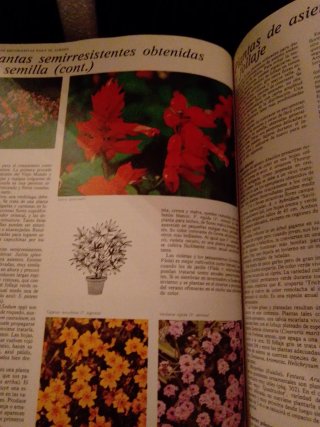 El gran libro del jardin