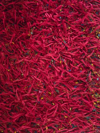 Alfombra Roja Deniz