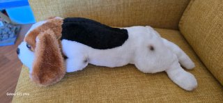 Peluche cane beagle