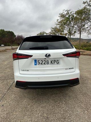 Lexus NX 300h f sport
