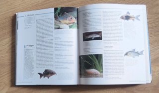 Libro Atlas del acuario - Guía ilustrada