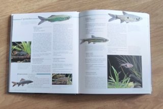 Libro Atlas del acuario - Guía ilustrada