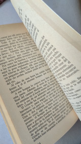 Libro de lectura infantil +9