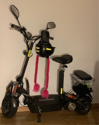Patinete eléctrico EcoXtrem
