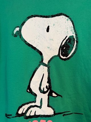 T-shirt Oversize Snoopy Peanuts Verde