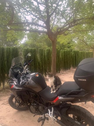 Benelli