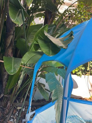 Piscina Hinchable Infantil con Toldo UPF 50+