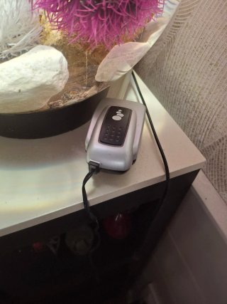 Pecera redonda con adornos