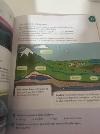 Conocimiento del medio 3 Primaria : Proyecto Co...