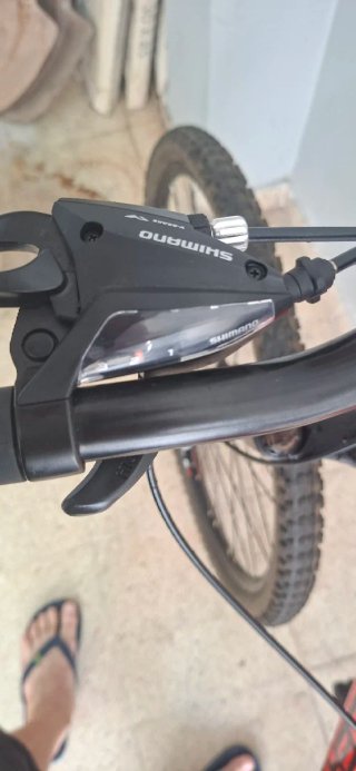 Bicicleta de Montaña Racer 29 Talla L