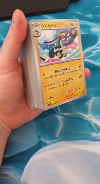 Precintadas Cartas Pokémon Comunes