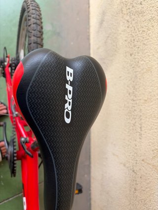 Bici MTB B-PRO 20 niño