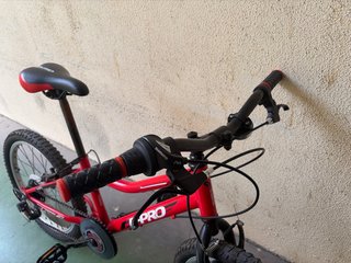 Bici MTB B-PRO 20 niño